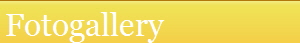 Fotogallery