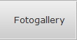 Fotogallery